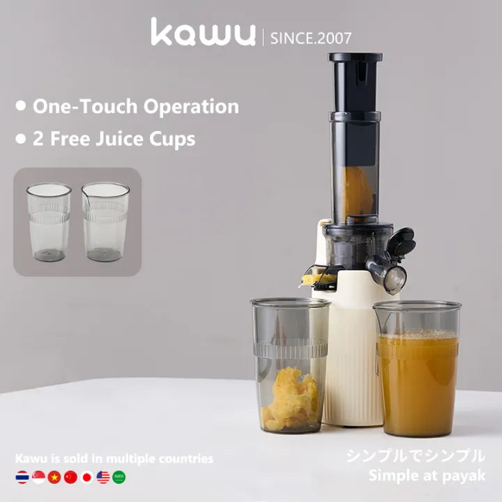 100W Heavy Duty original Slow Juicer Cold Press Juicing Auto Juice-Pulp Separation 400ml Healthy Ice Cream Maker