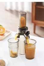 100W Heavy Duty original Slow Juicer Cold Press Juicing Auto Juice-Pulp Separation 400ml Healthy Ice Cream Maker