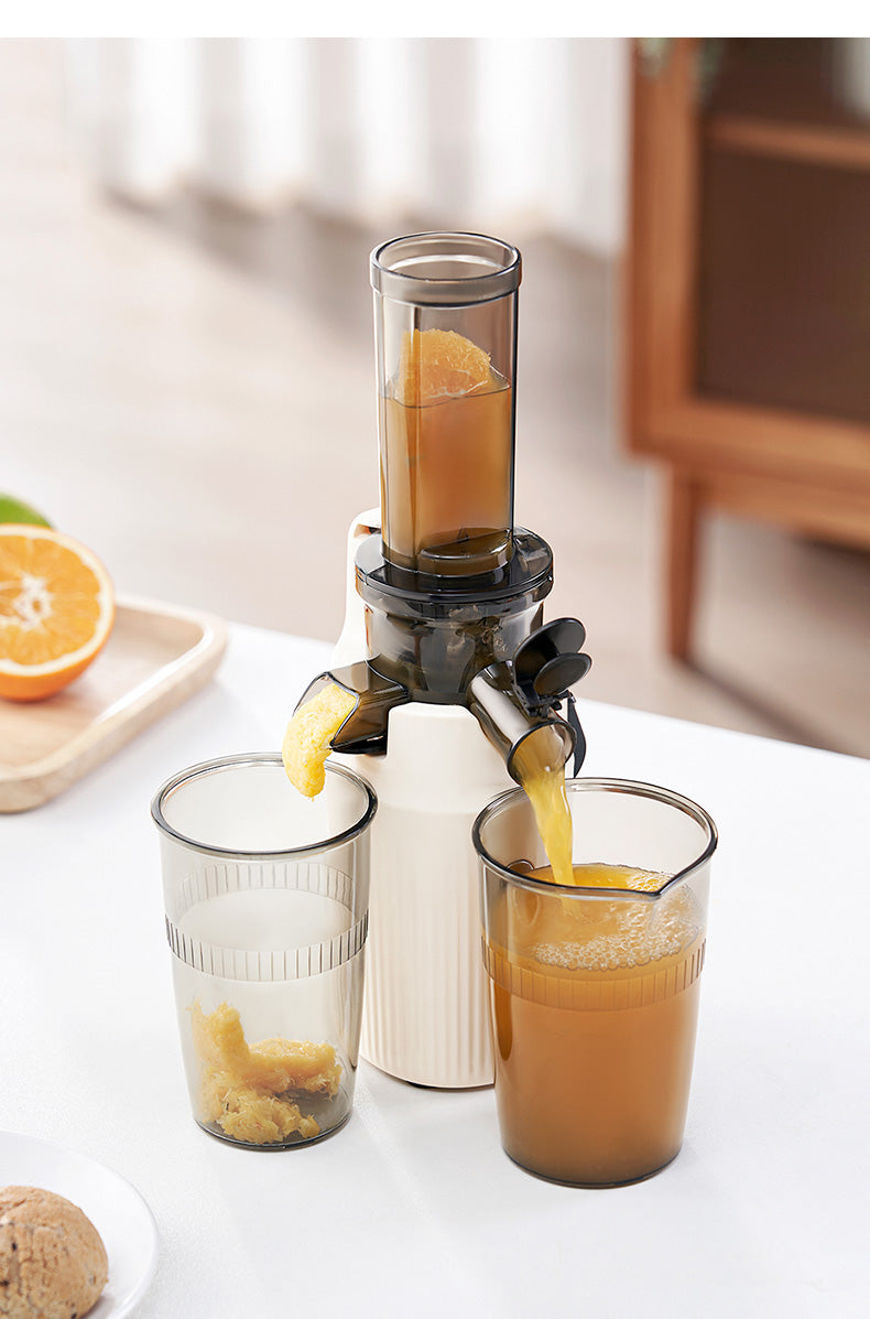 100W Heavy Duty original Slow Juicer Cold Press Juicing Auto Juice-Pulp Separation 400ml Healthy Ice Cream Maker