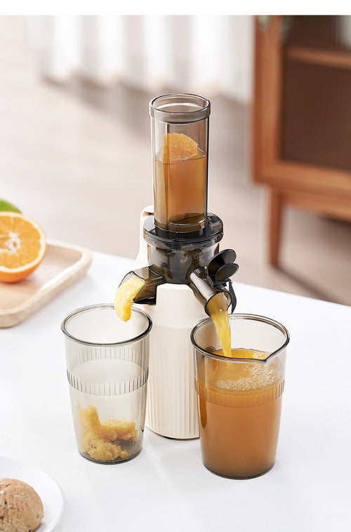 100W Heavy Duty original Slow Juicer Cold Press Juicing Auto Juice-Pulp Separation 400ml Healthy Ice Cream Maker