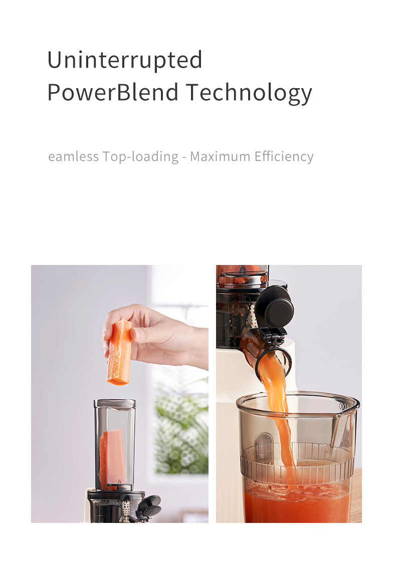 100W Heavy Duty original Slow Juicer Cold Press Juicing Auto Juice-Pulp Separation 400ml Healthy Ice Cream Maker