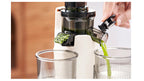 100W Heavy Duty original Slow Juicer Cold Press Juicing Auto Juice-Pulp Separation 400ml Healthy Ice Cream Maker