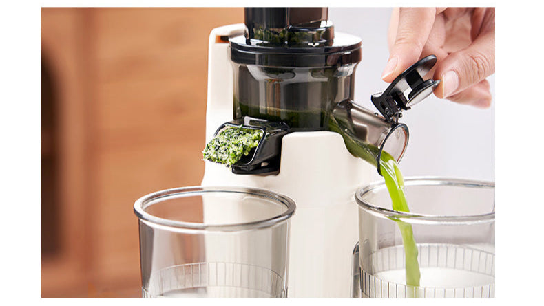 100W Heavy Duty original Slow Juicer Cold Press Juicing Auto Juice-Pulp Separation 400ml Healthy Ice Cream Maker